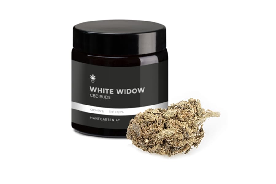 White Widow Blueten