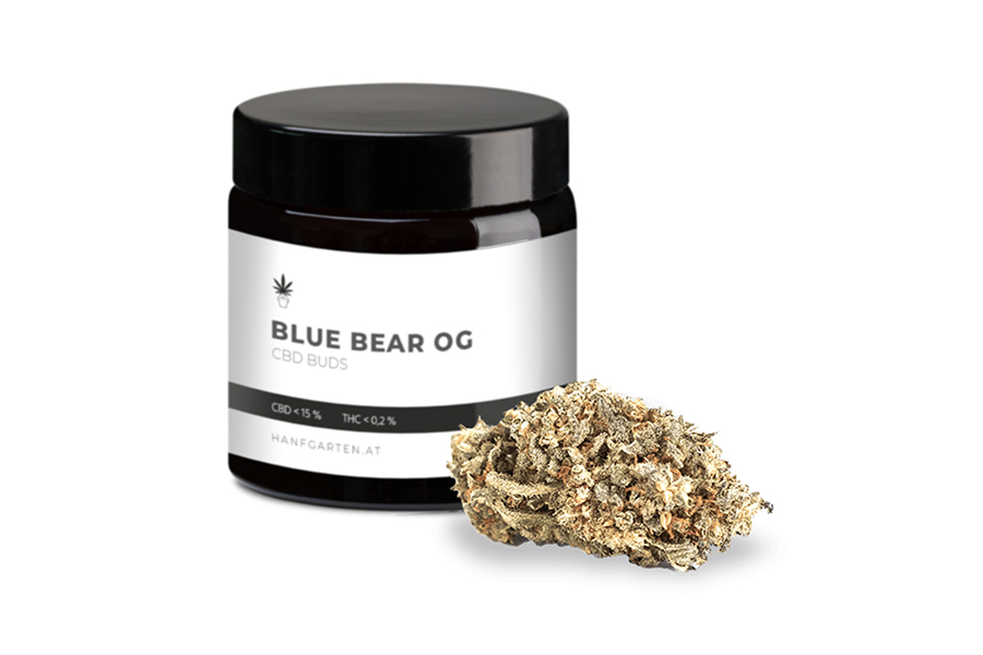 Blue Bear OG