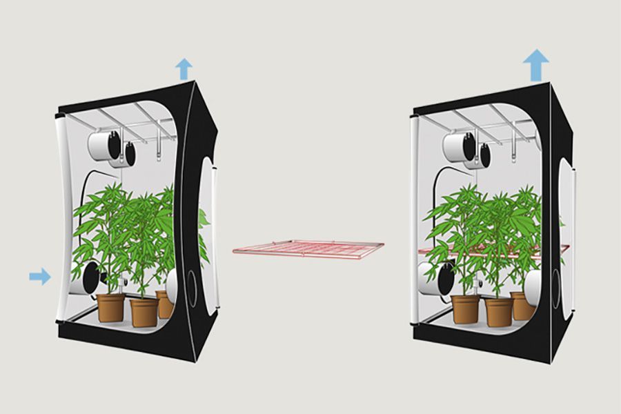 growboxen