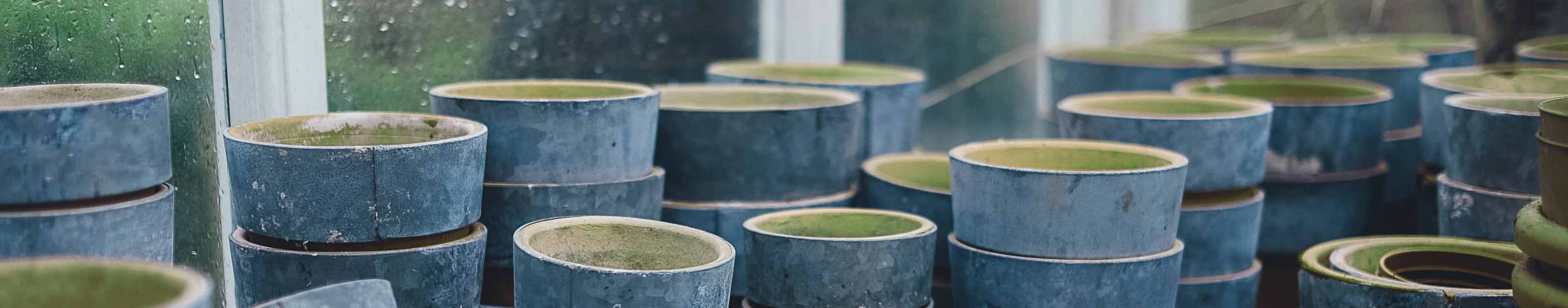 Cannabis Pflanztöpfe online kaufen Hanfgarten Shop