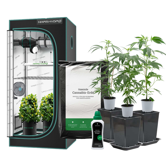 Indoor-Anbau Rundum Sorglos Paket | Stecklinge (groß)