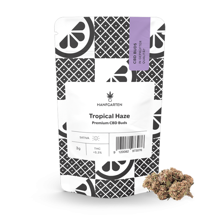 Tropical Haze | CBD Blüten