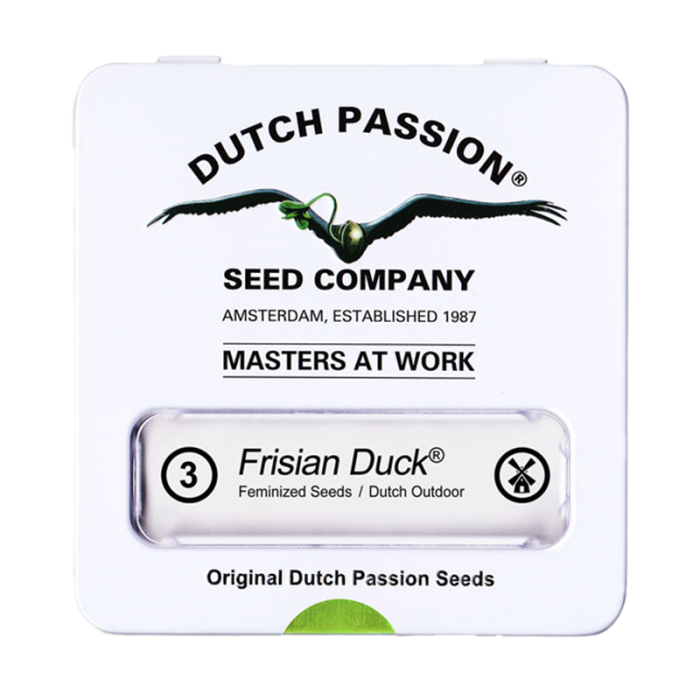 Frisian Duck | Feminisiert