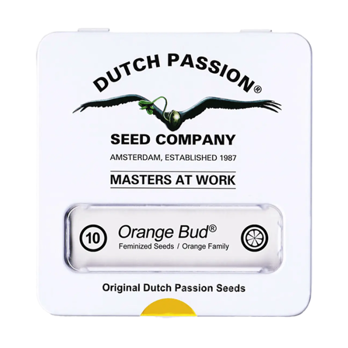 Orange Bud | Feminisiert