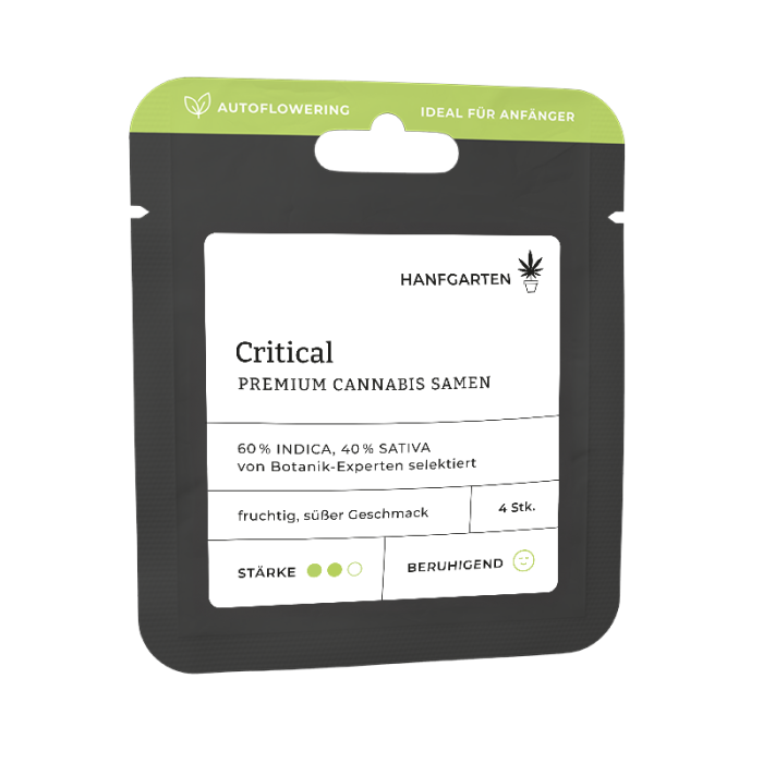 Critical | Autoflowering