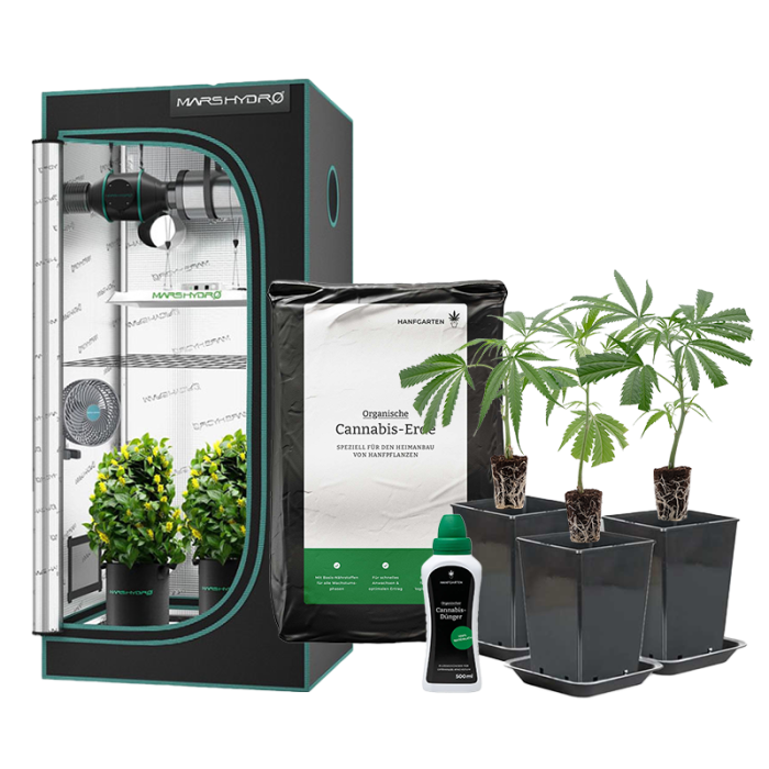 Indoor-Anbau Rundum Sorglos Paket | Stecklinge