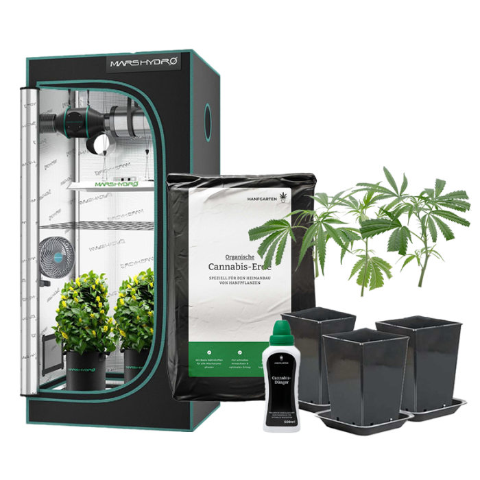 Indoor-Anbau Rundum Sorglos Paket | Stecklinge