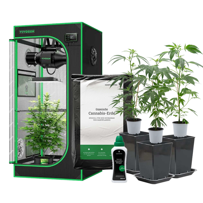 Indoor-Anbau Rundum Sorglos Paket | Pflanzen