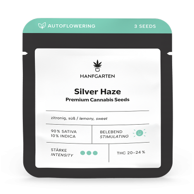 Silver Haze Premium Cannabis Samen 