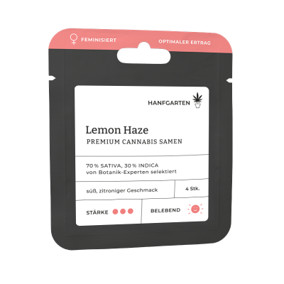 Lemon Haze | Feminisiert
