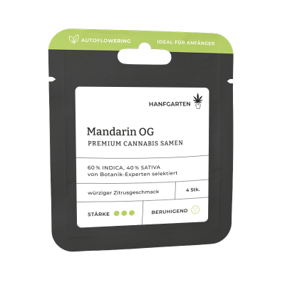Mandarin OG | Autoflowering Vorderseite