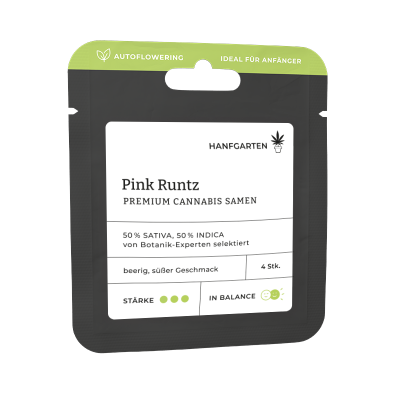 Pink Runtz | Autoflowering Vorderseite