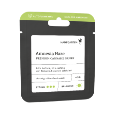 Amnesia Haze | Autoflowering