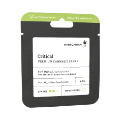Critical | Autoflowering Vorderseite