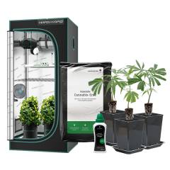 Indoor-Anbau Rundum Sorglos Paket