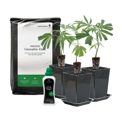 Rundum Sorglos Paket Outdoor