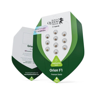 Orion F1 | Autoflowering