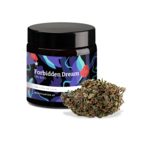 Forbidden Dream
