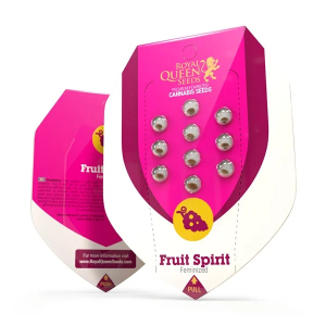 Fruit Spirit | Feminisiert