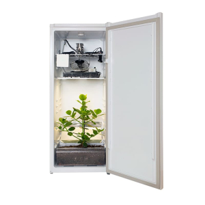 Fridge Grow Komplettestem