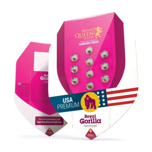 Royal Gorilla | Feminisiert