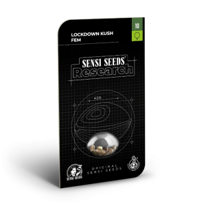 Verpackung der Lockdown Kush Samen
