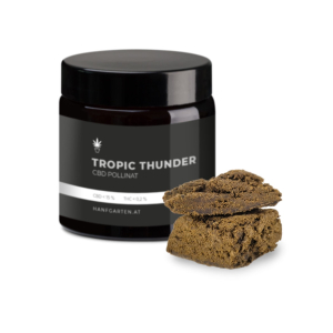 Tropic Thunder Pollinat