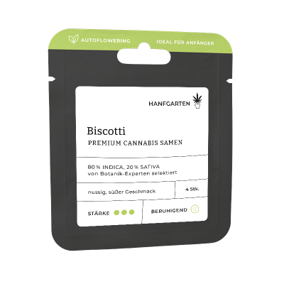 Biscotti | Autoflowering Vorderansicht