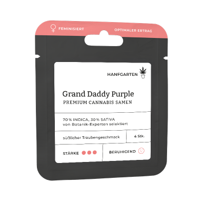 Grand Daddy Purple (GDP) | Feminisiert