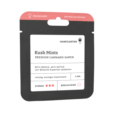 Kush Mints | Feminisiert Vorderansicht