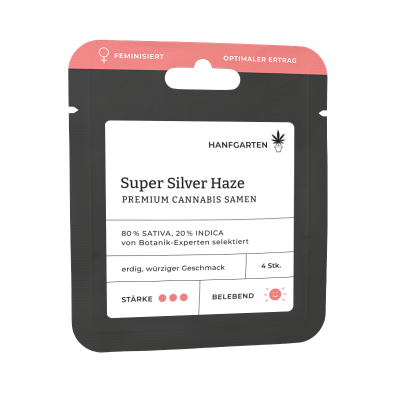 Super Silver Haze | Feminisiert Vorderseite