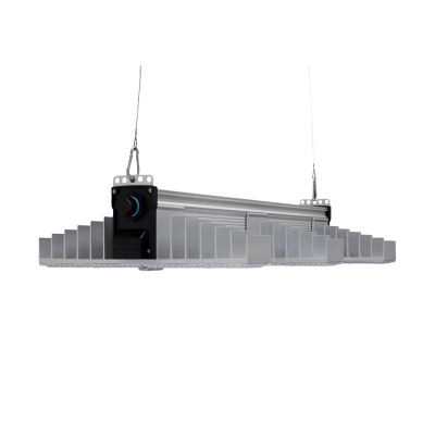 Growlampe von oben