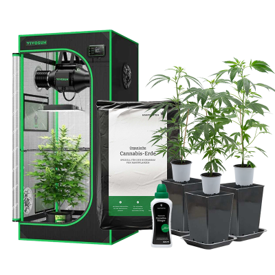 Indoor Set Übersicht