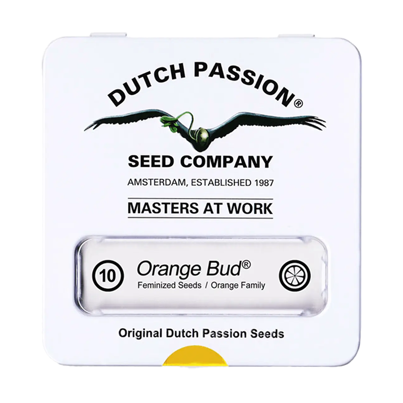 Verpackung der Orange Bud Hanfsamen