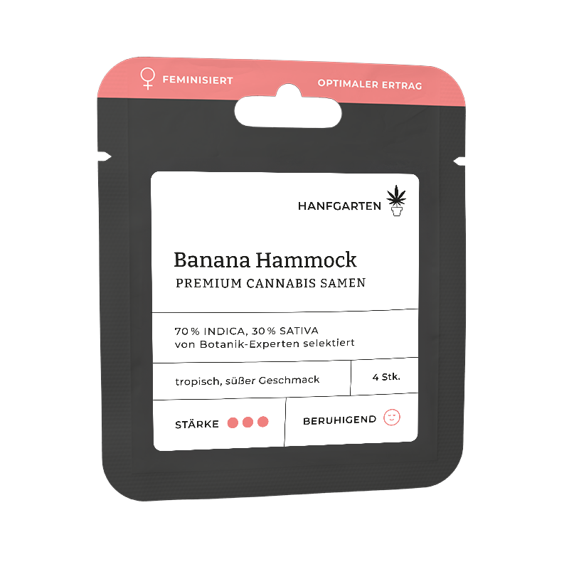 Banana Hammock Feminisiert (Hanfgarten)