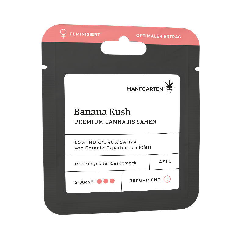 Banana Kush Feminisiert (Hanfgarten)