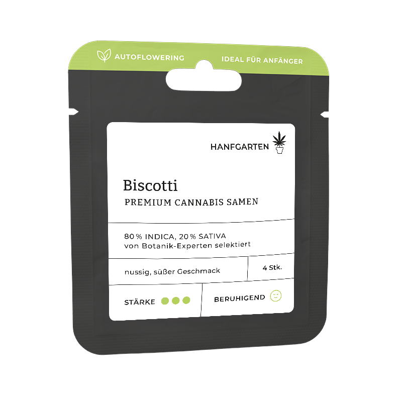 Biscotti Autoflowering (Hanfgarten)