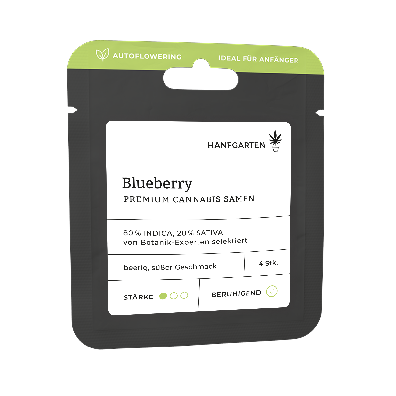 Blueberry Autoflowering (Hanfgarten)