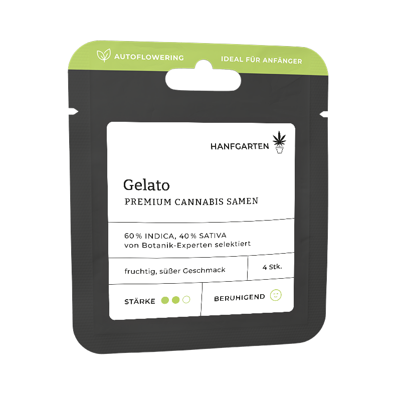 Gelato | Autoflowering Vorderseite