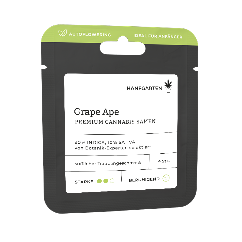 Grape Ape Autoflowering (Hanfgarten)