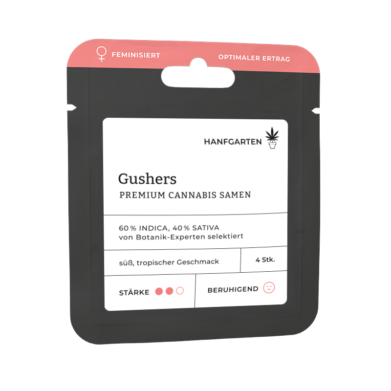 Gushers Feminisiert (Hanfgarten)