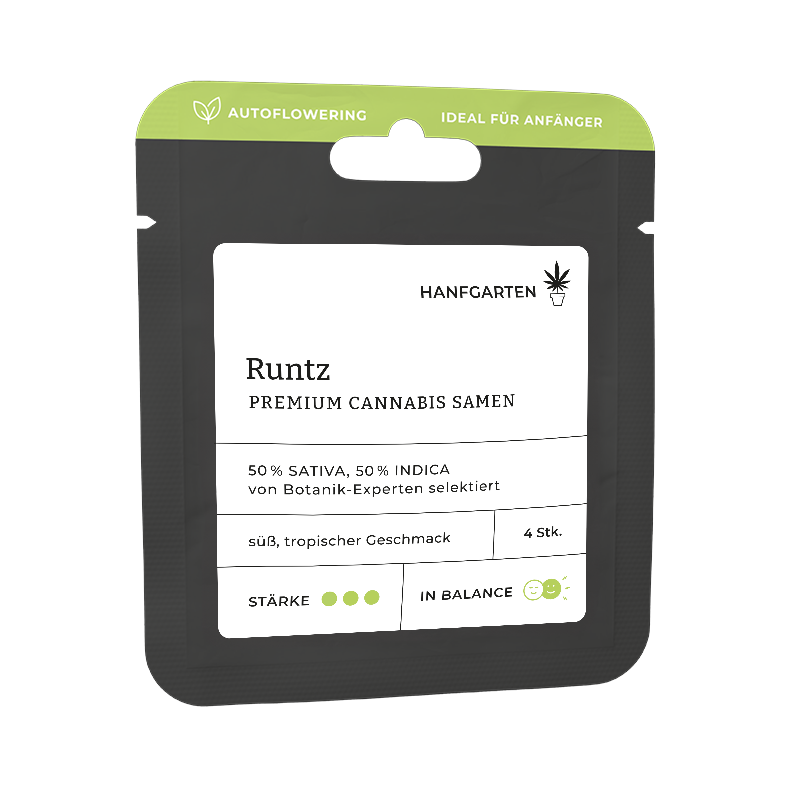 Runtz Autoflowering (Hanfgarten)