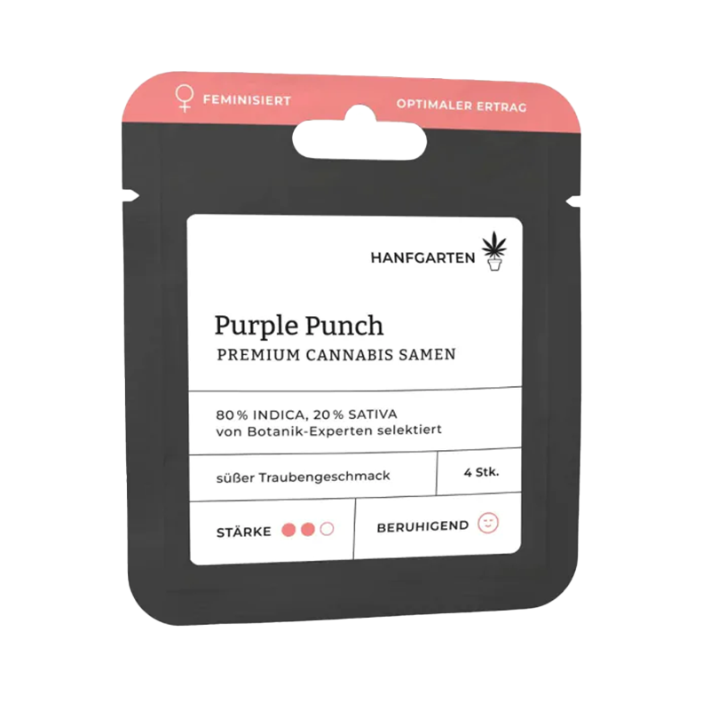 Purple Punch Feminisiert (Hanfgarten)