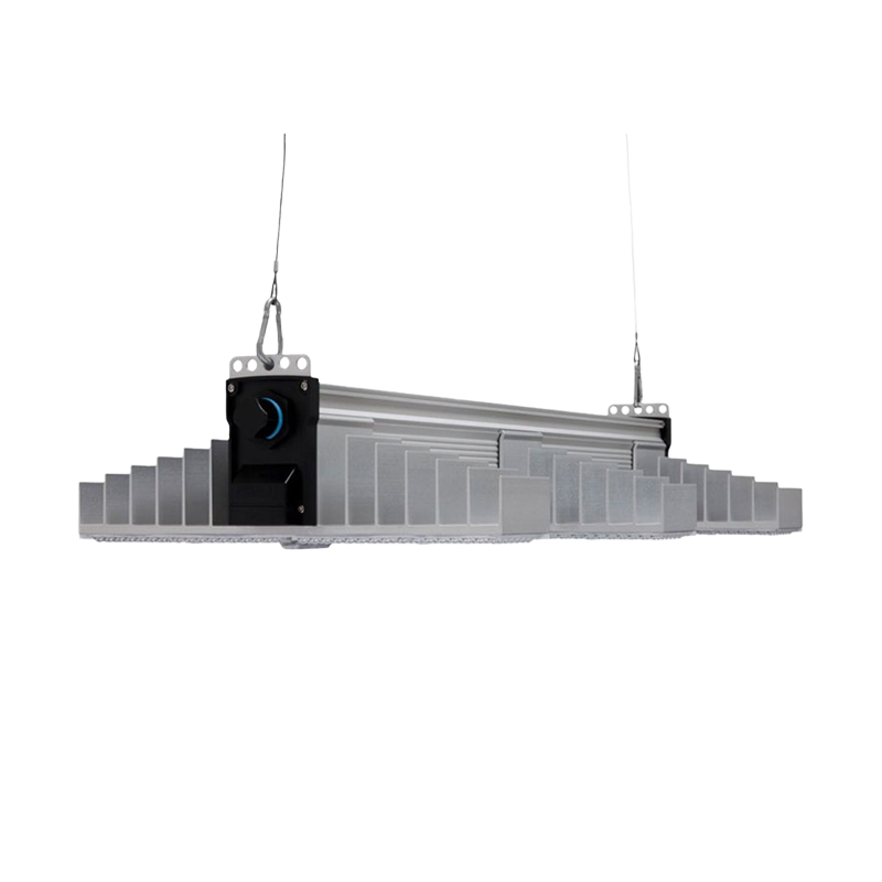 Growlampe von oben 