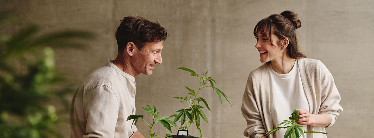 Eigenanbau vs. medizinisches Cannabis: Wann lohnt sich der Grow?