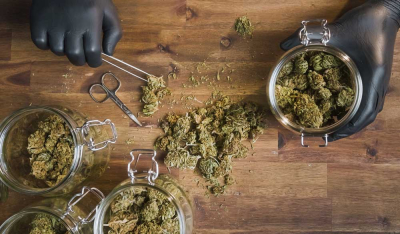 Cannabis richtig lagern: Tipps für maximale Haltbarkeit & Qualität