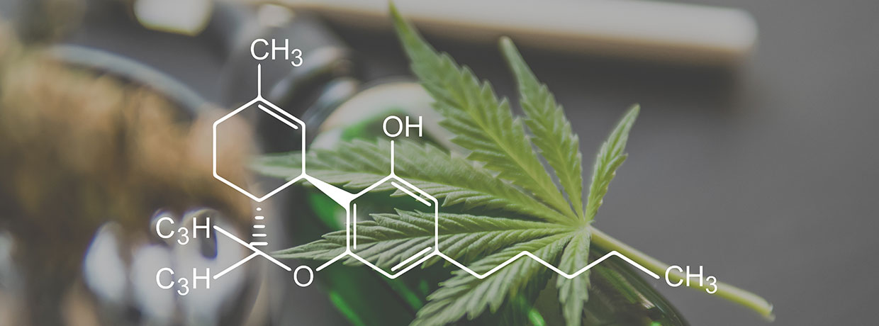 Was ist THC (Tetrahydrocannabinol)? Studien & Effekte