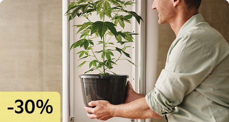 Growbox Komplettsets 